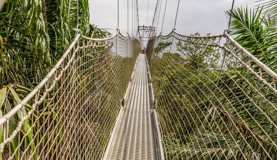 The iconic canopy walkway at Lekki Conservation Centre